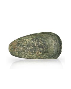 Buy Neolithic axe head