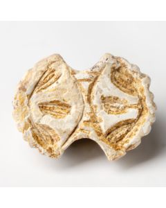 Minoisches Siegel in Muschelform kaufen